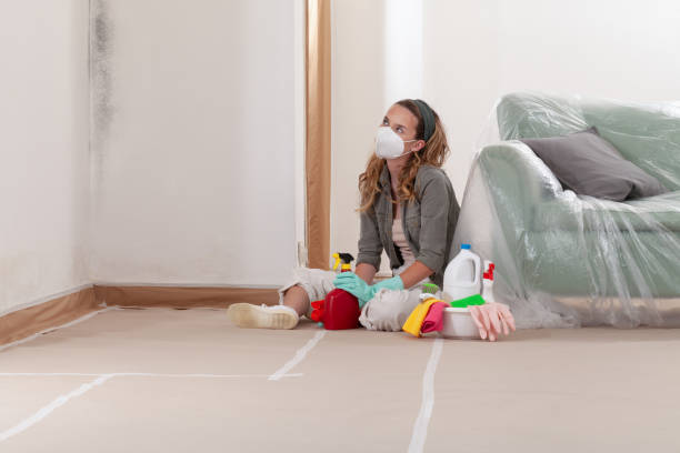 Reliable Mold Inspection And Testing contractor in Washington Crossing, PA by Car Mold Remediation